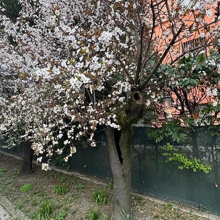 Apartman Tamburini 38 Vintage Near Center, Parking Included Modena